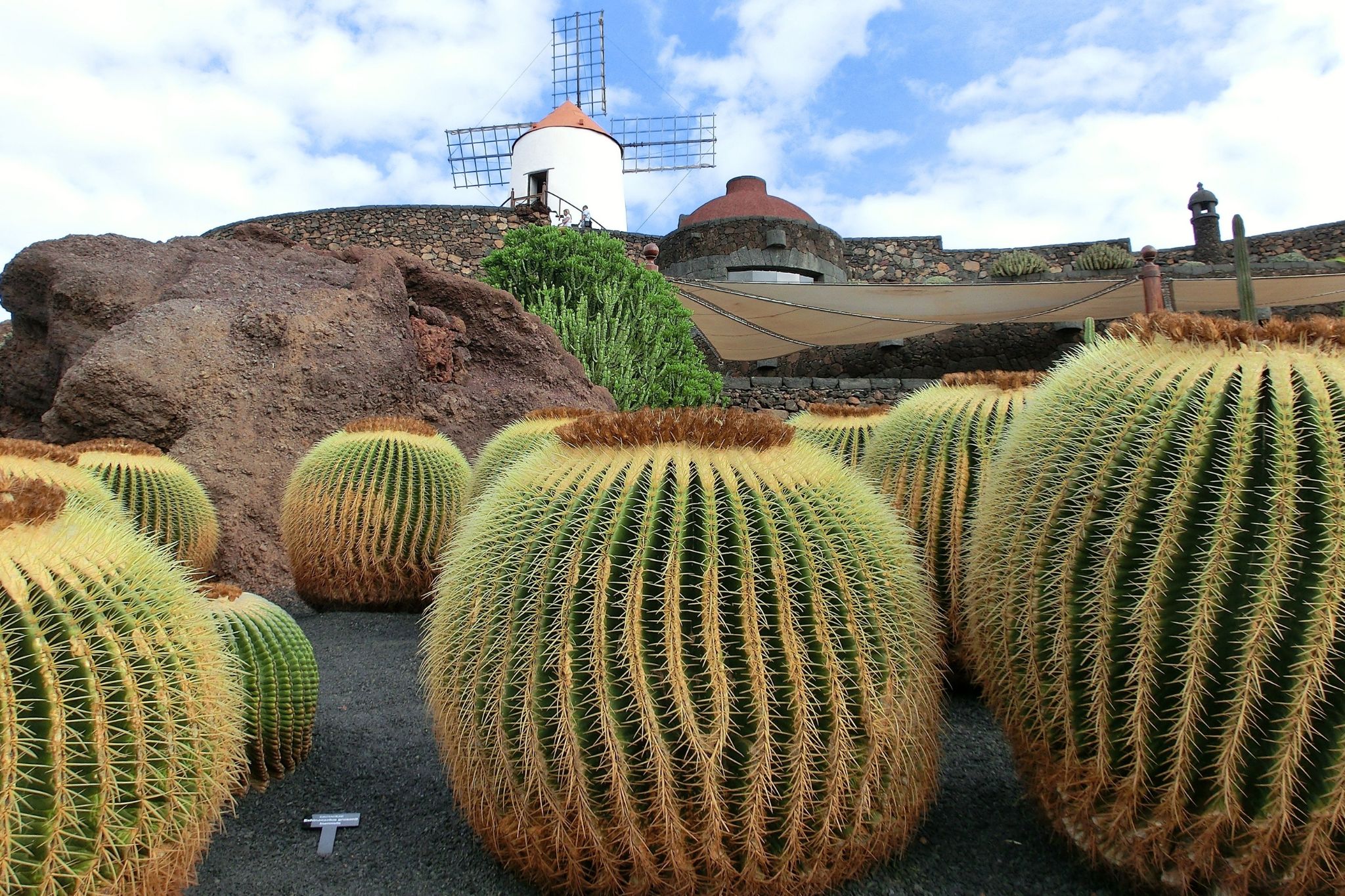 Jardín de Cactus Lanzarote